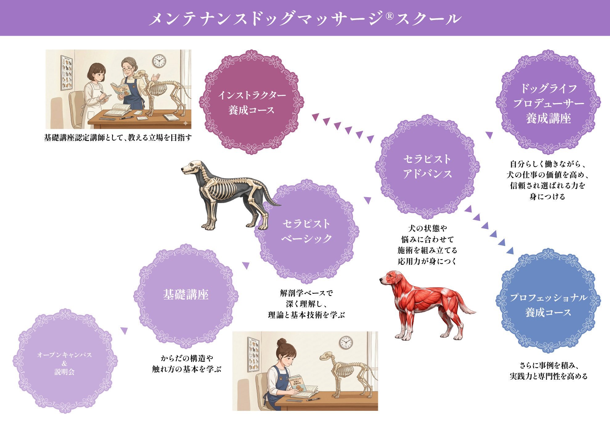 メンテナンスマッサージスクール