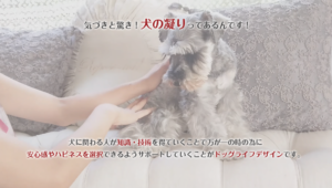 気づきと驚き！犬の凝りってあるんです！全てにおいて、その場で「見た目の変化が体感できる」・「結果が出るドッグマッサージ」・「即効性」、その再現性に参加されたみなさんが驚かれます！