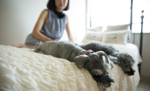 サロンメニュー